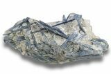 Vibrant Blue Kyanite Crystals In Quartz - Brazil #247130-1
